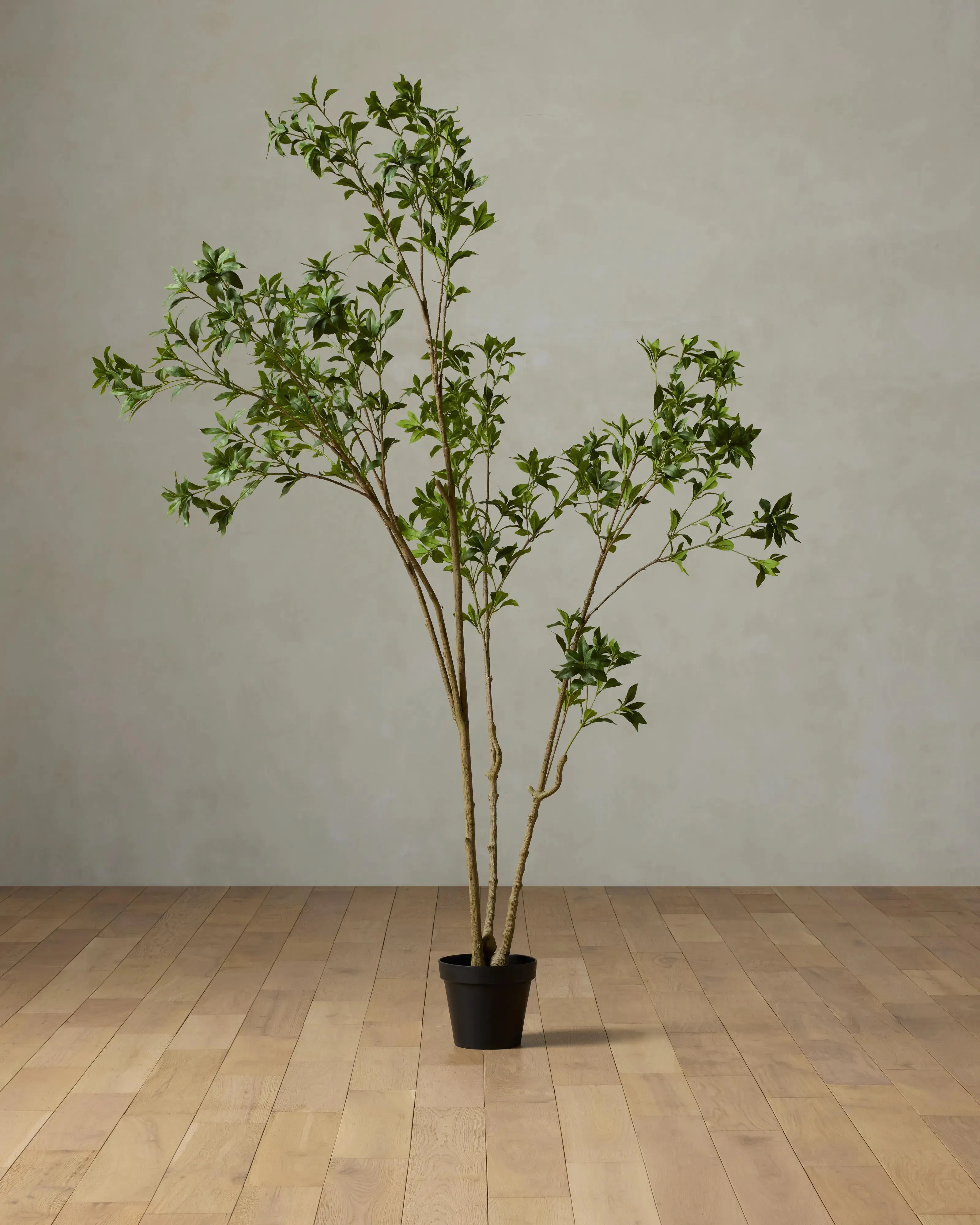 Faux Pieris Tree | Joon Loloi