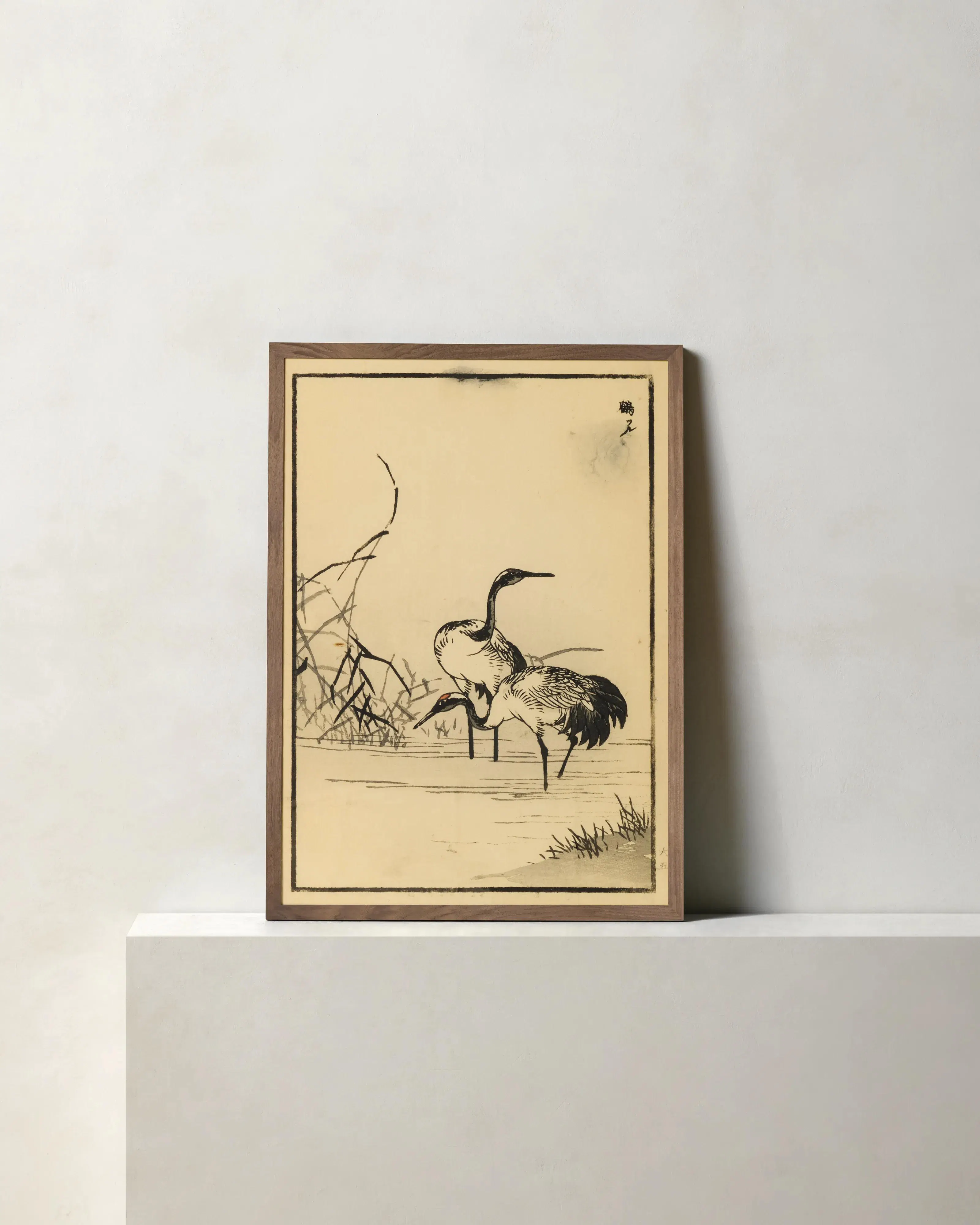 Cranes in River 1 by Getty Images | Joon Loloi